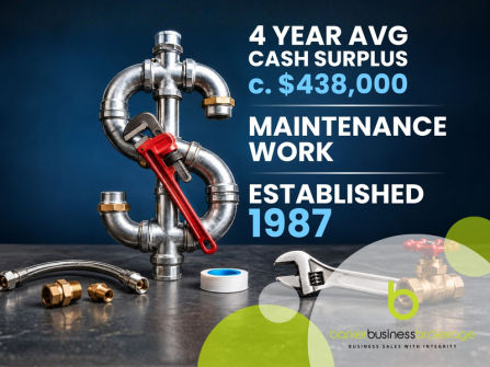 Established Plumbing - Strong Maintenance Base