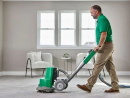 Highly Profitable Chem-Dry Carpet & Upholstery Cleaning Business