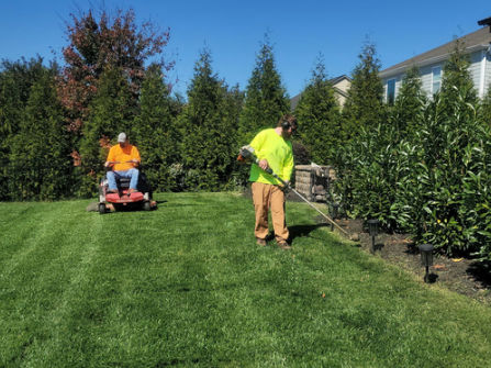 Established Landscaping and Garden Design Business, Queanbeyan / Canberra Region