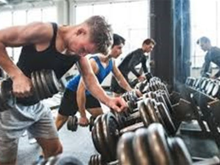 Three Profitable Fitness Centres & Entire Franchise System for Sale