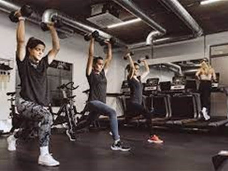 Three Profitable Fitness Centres & Entire Franchise System for Sale