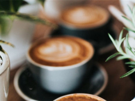 First time Offered 5 Day Industrial Cafe Established 20 Years with Great Rent