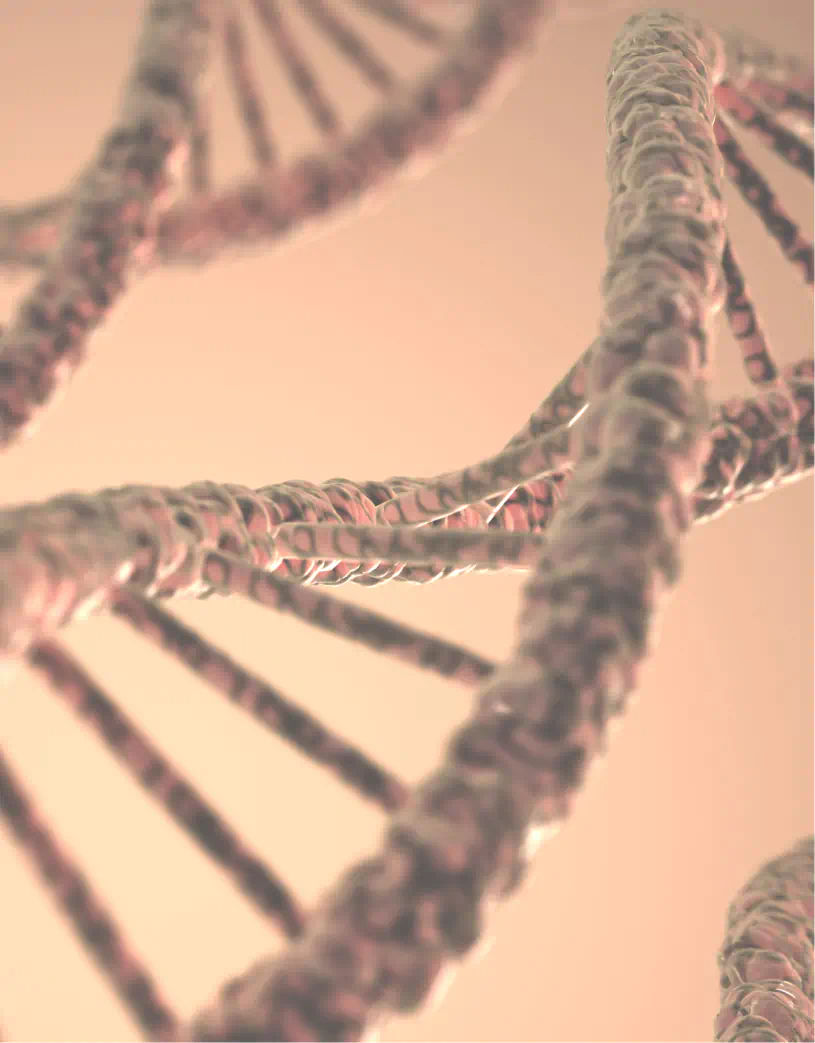 DNA