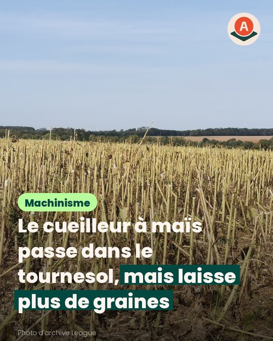 Avant d’acheter un cueilleur pour le tournesol, vérifiez ce qui s’y monte
