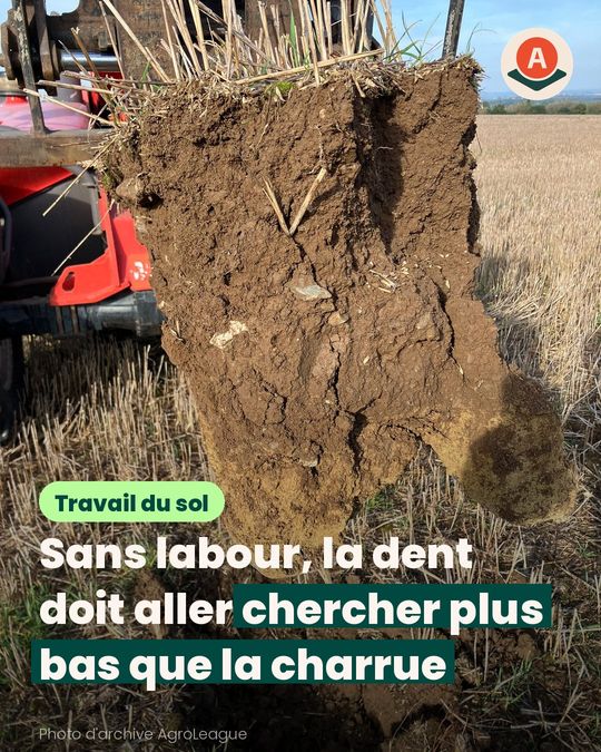 Pour l’orge sans labour, on creuse avant de passer la dent