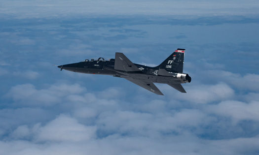 Figure 2—Air Force T-38 Talon, in flight (Ref. 6).