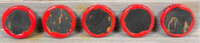 Figure 13—Test coupons from Figure 1 after 24 hours of salt fog exposure.