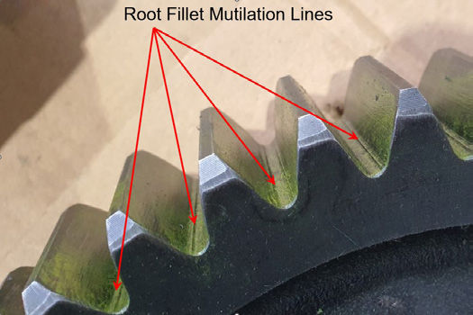 Figure 4—Mutilation lines.