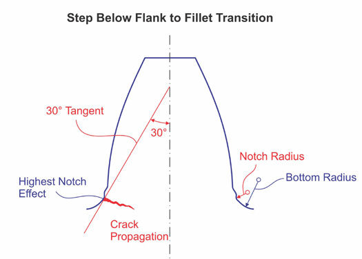 Figure 9—Tooth fracture initiated by steps below the root transition.