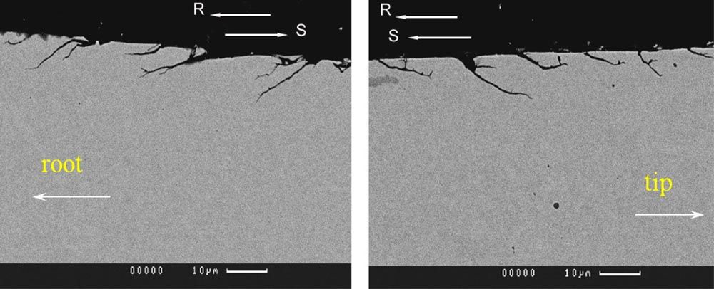 Figure 1.jpg