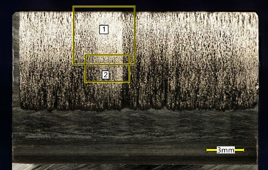 Figure 3—LOM image of tooth 2 shown in Figure 2.