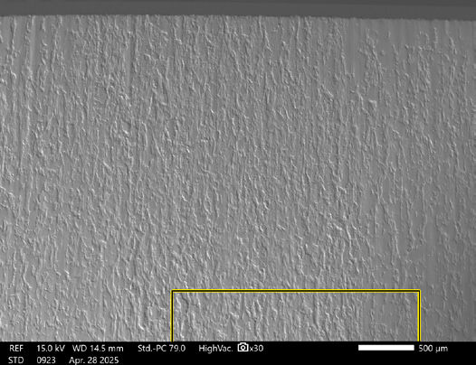 Figure 4—SEM image of Box 1 shown in Figure 3.