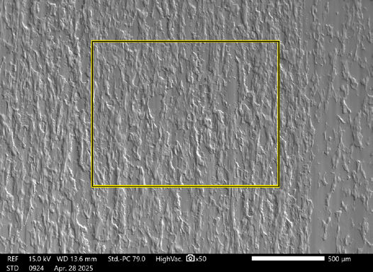 Figure 5—SEM image of Box 2 shown in Figure 3.