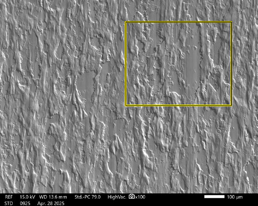 Figure 6—SEM image of Box shown in Figure 5.