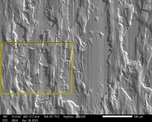 Figure 7—SEM image of Box shown in Figure 6.