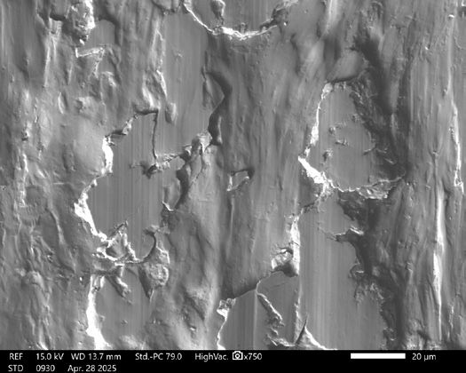 Figure 8—SEM image of Box shown in Figure 6.
