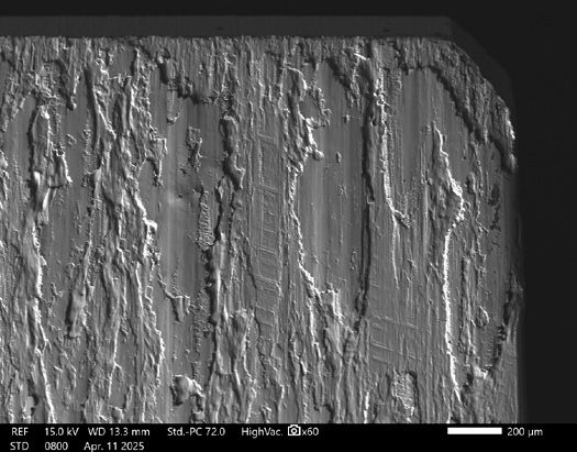 Figure 10—SEM image of right corner of tooth shown in Figure 3.