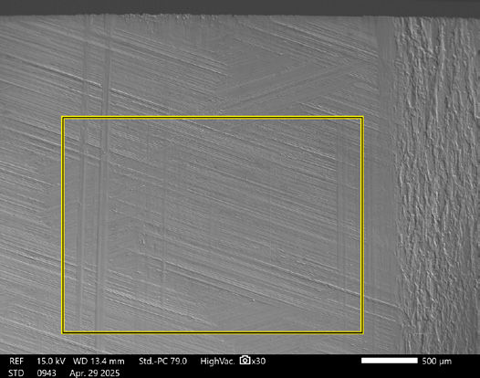 Figure 12—SEM image of Box 1 shown in Figure 11.