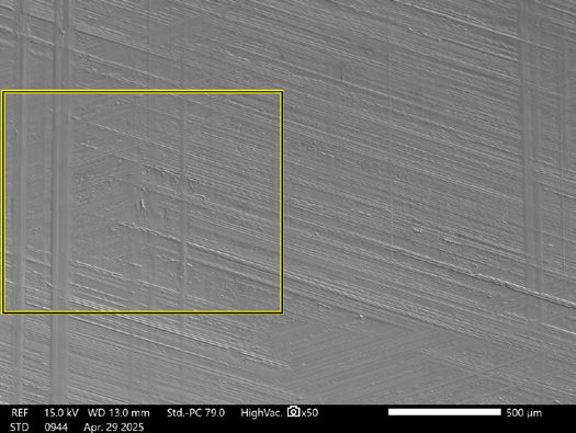 Figure 13—SEM image of Box 2 shown in Figure 12.