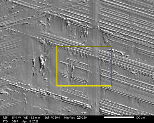 Figure 15—SEM image of Box 2 shown in Figure 14.