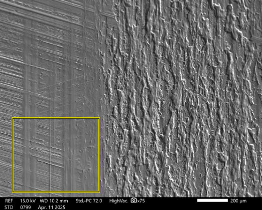 Figure 17— SEM image of Box 3 shown in Figure 11.