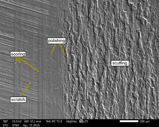 Figure 18—SEM image with labeled features of interest from Figure 17.