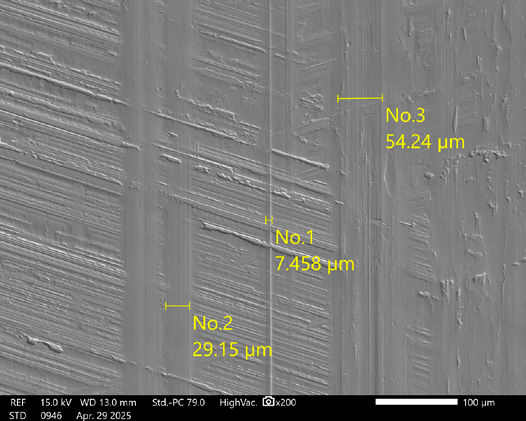 Figure 19—SEM image of Box 3 shown in Figure 17.