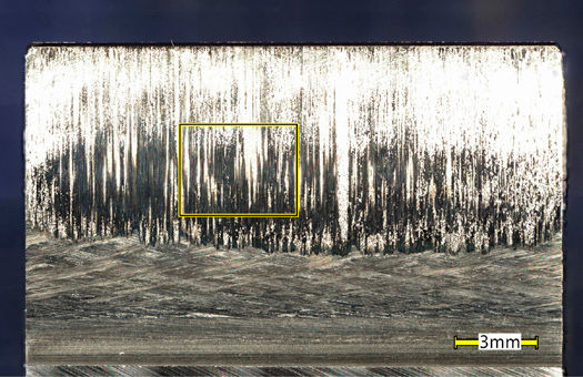 Figure 20—LOM image of tooth 8 shown in Figure 1.