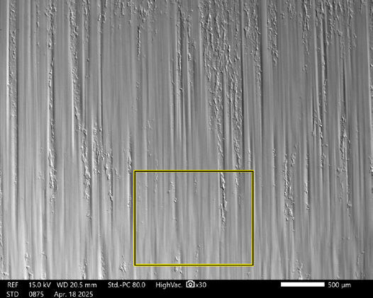 Figure 21—SEM image of Box shown in Figure 20.
