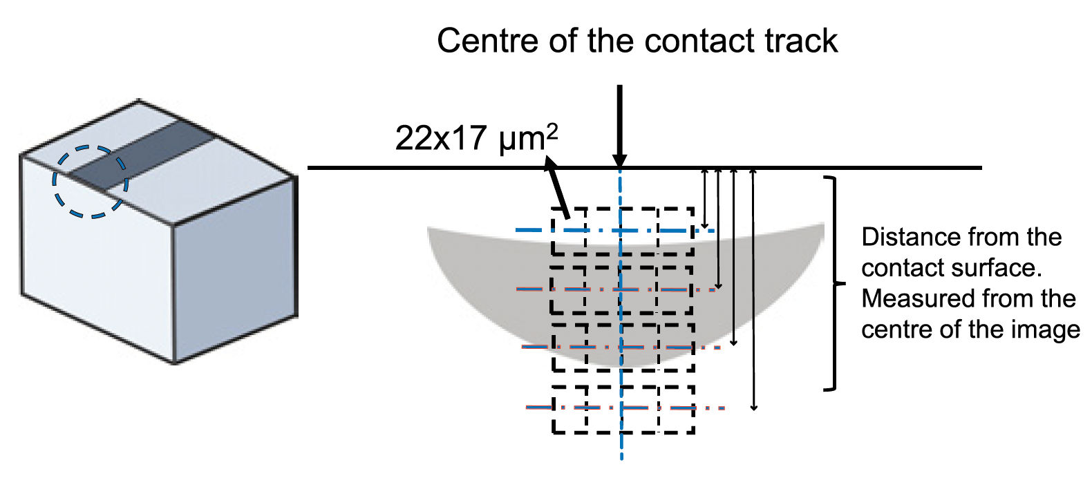 Figure 3—The sample orientation for determining the area fraction of microstructural decay in the radial section sample. The schematic indicates the size, number and position of the SEM images.