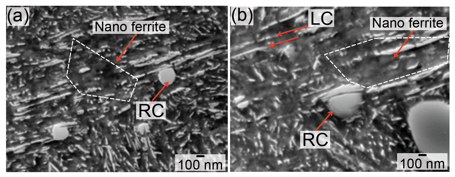 Figure 6—SEM/SE imaging of decay in 52100 steel after RCF in the CS at 80 μm from the contact surface. (a) Decay at 1.0 × 108 stress cycles, tempered carbides dissolution, nano ferrite patches, residual cementite decay. (b) Residual cementite decay, by ferrite intersecting the carbides, surrounded by nano ferrite patch.