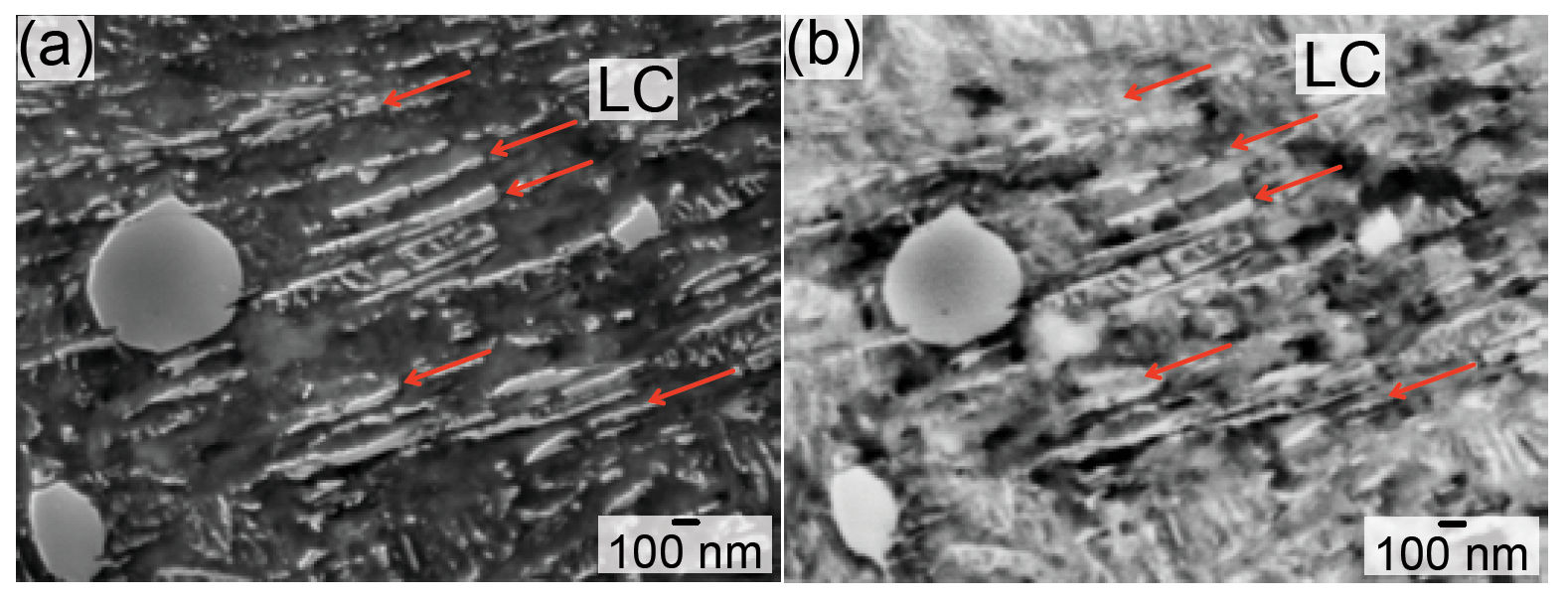 Figure 7—Microstructural decay in 52100 steel after RCF at 1.0 × 108 stress cycles in the CS, at 40–130 μm from the contact surface. (a) SEM/SE image reveals the presence of LC, indicated by yellow arrows. (b) SEM/BSE image of the same area as (a), bright contrast (yellow arrows) indicated the presence of LC.