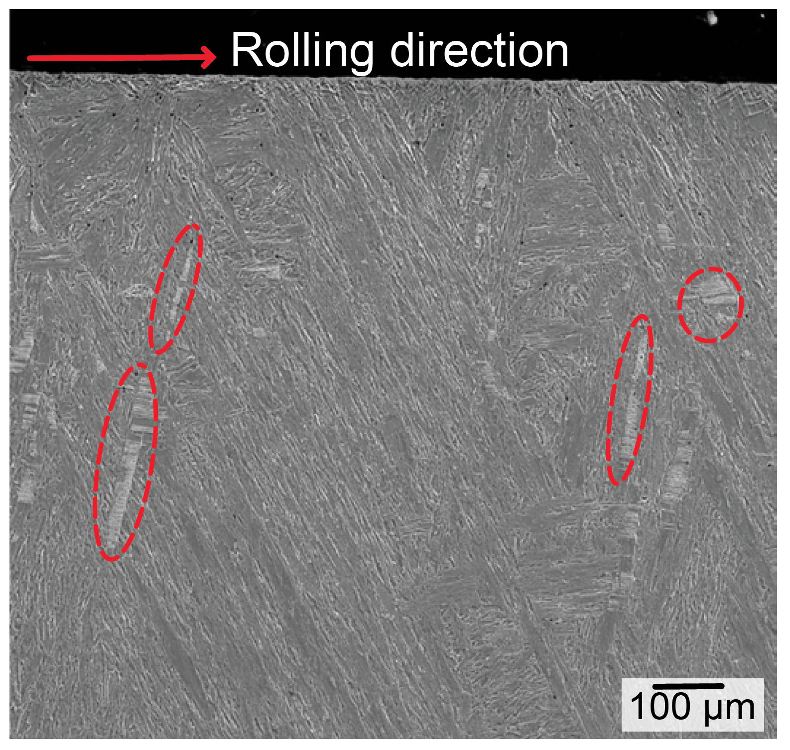 Figure 8—Microstructural decay of Hybrid Steel 60 was observed in the CS and close to the contact surface after RCF at 1.0 × 108 stress cycles; the red ovals highlight the decayed microstructure (ferrite microband).