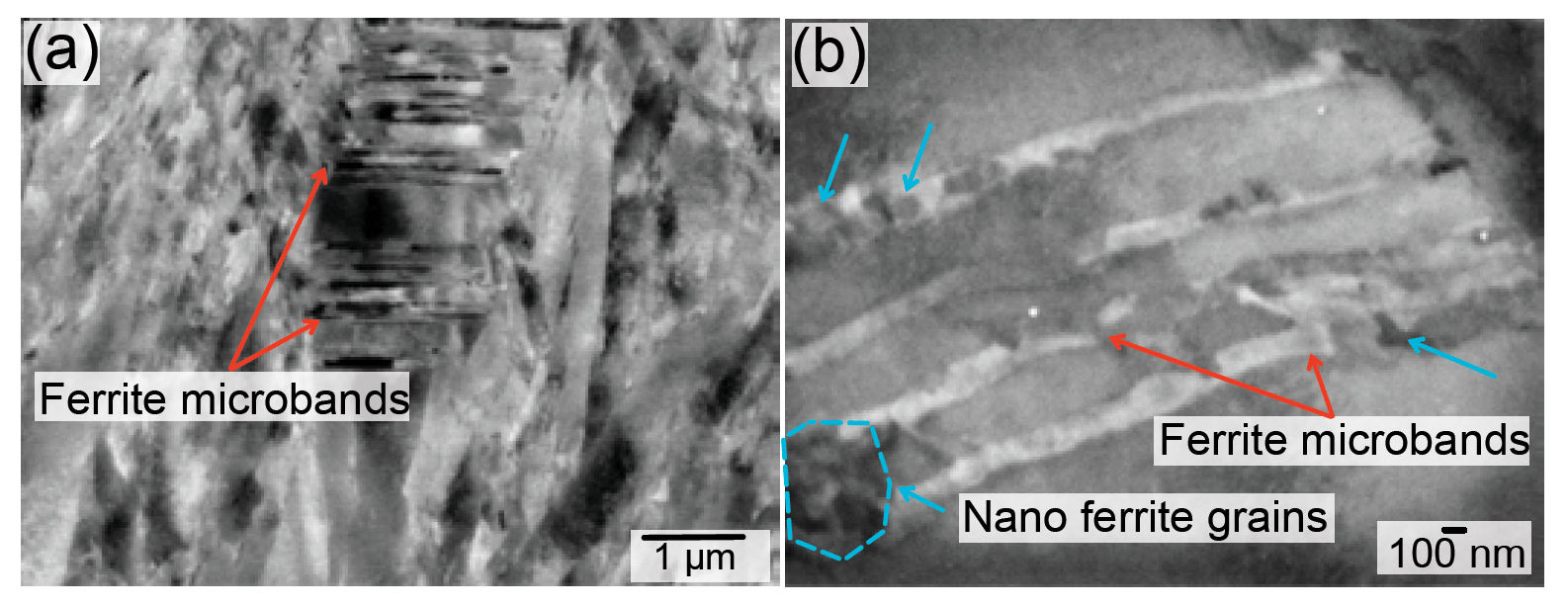 Figure 9—The microstructural decay of Hybrid Steel 60 after RCF, at 1.0 × 108 stress cycles in the CS, obtained at a depth of 60 μm from the contact surface with SEM/BSE imaging. (a) Ferrite microband formation across martensite lath. (b) Nano ferrite grains + ferrite microbands. This sample is not etched.