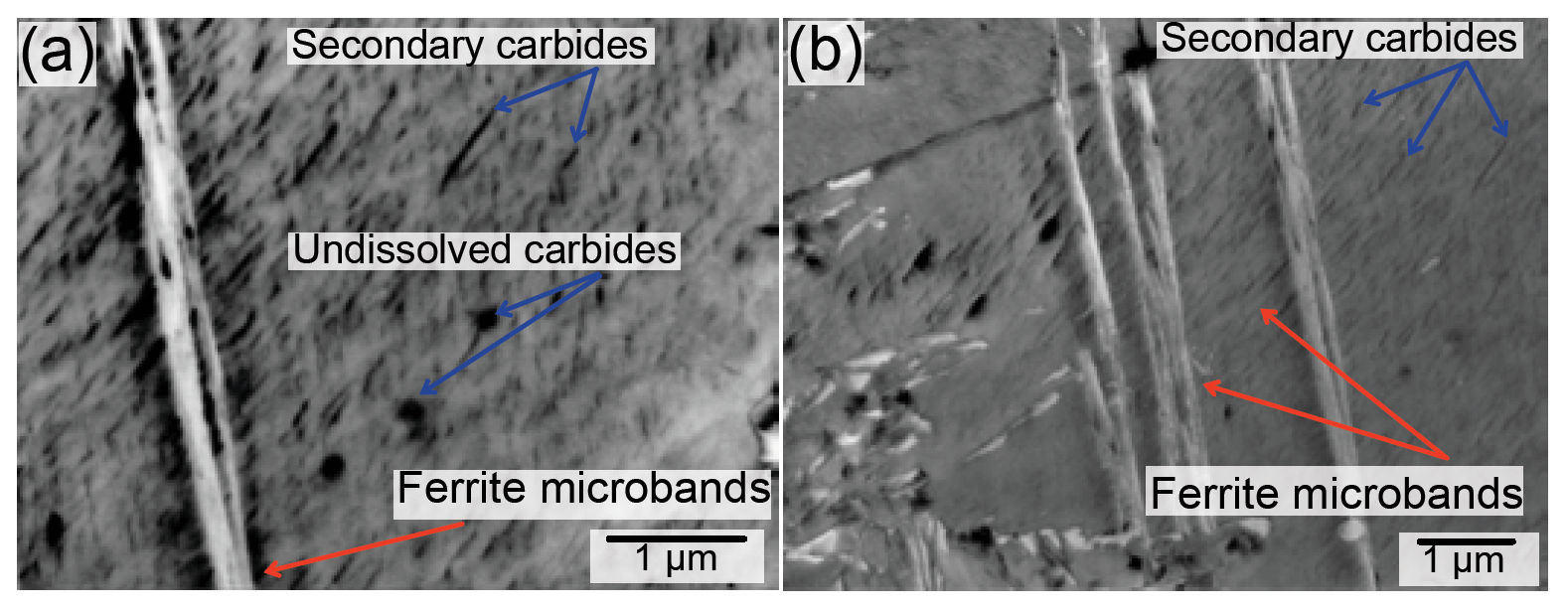 Figure 10—Microstructural decay n the Hybrid 60 steel in the CS at a depth of 60 μm beneath the raceway surface. (a)SEM/BSE image of ferrite microbands, surrounded by secondary carbides. (b) SEM/SE image of secondary carbides.