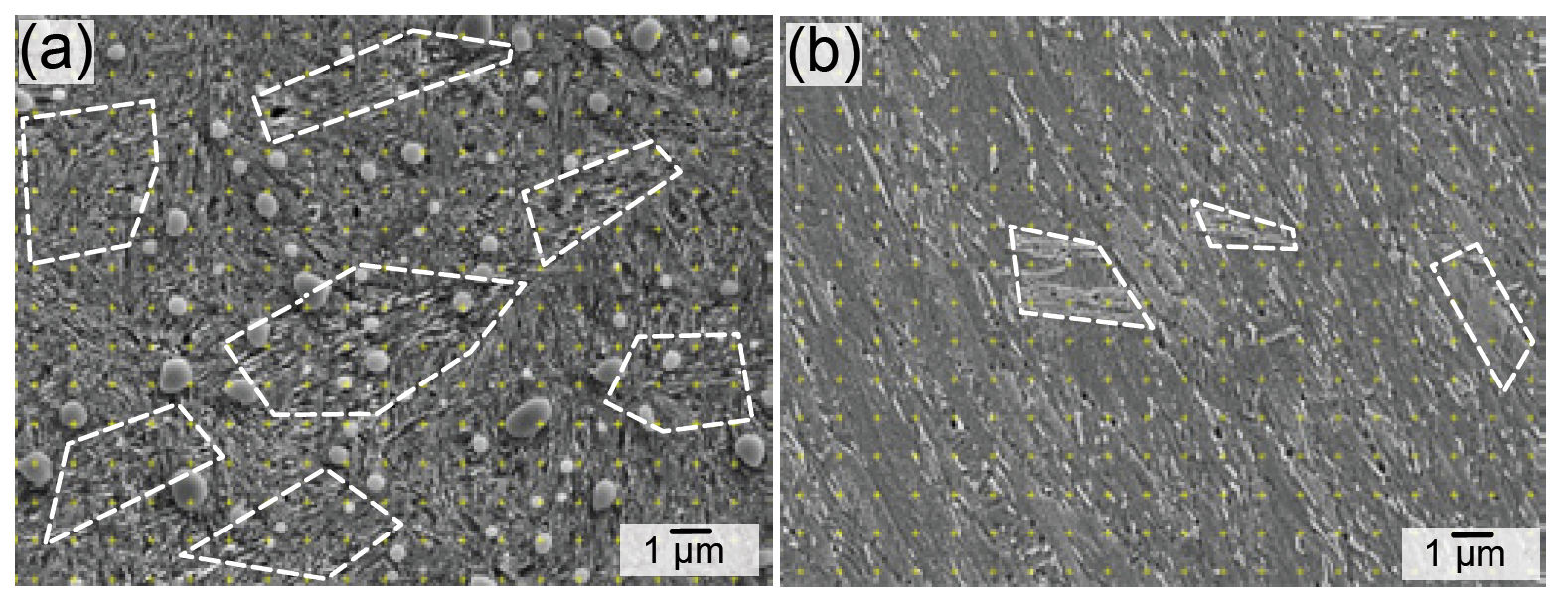 Figure 11—SEM/SE image of microstructural decay in the region of maximum shear stress after 1.0 × 108 stress cycles, in the radial section at 75 μm from the raceway surface). (a) 52100 steel. (b) Hybrid Steel 60.