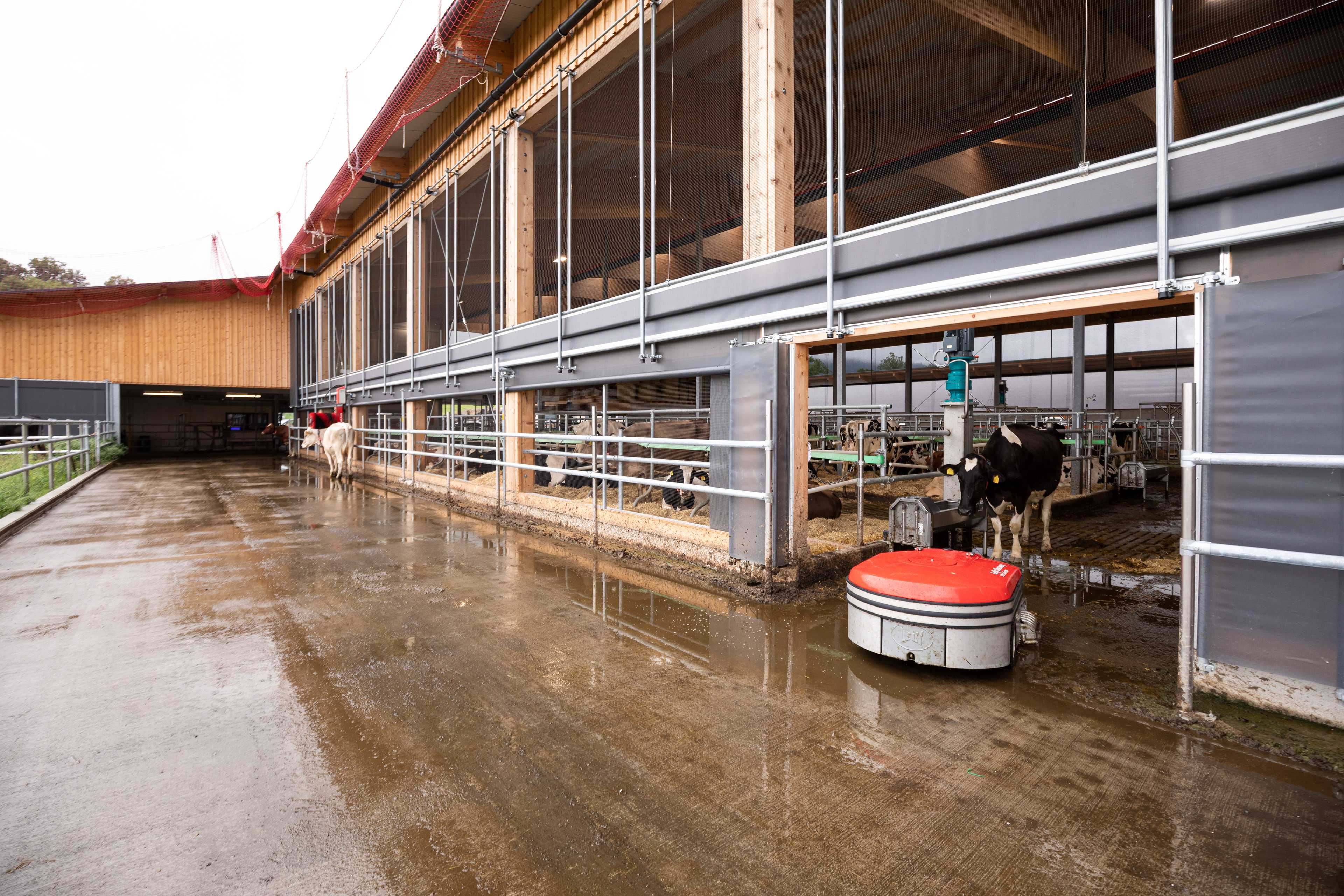 Lely Discovery Collector