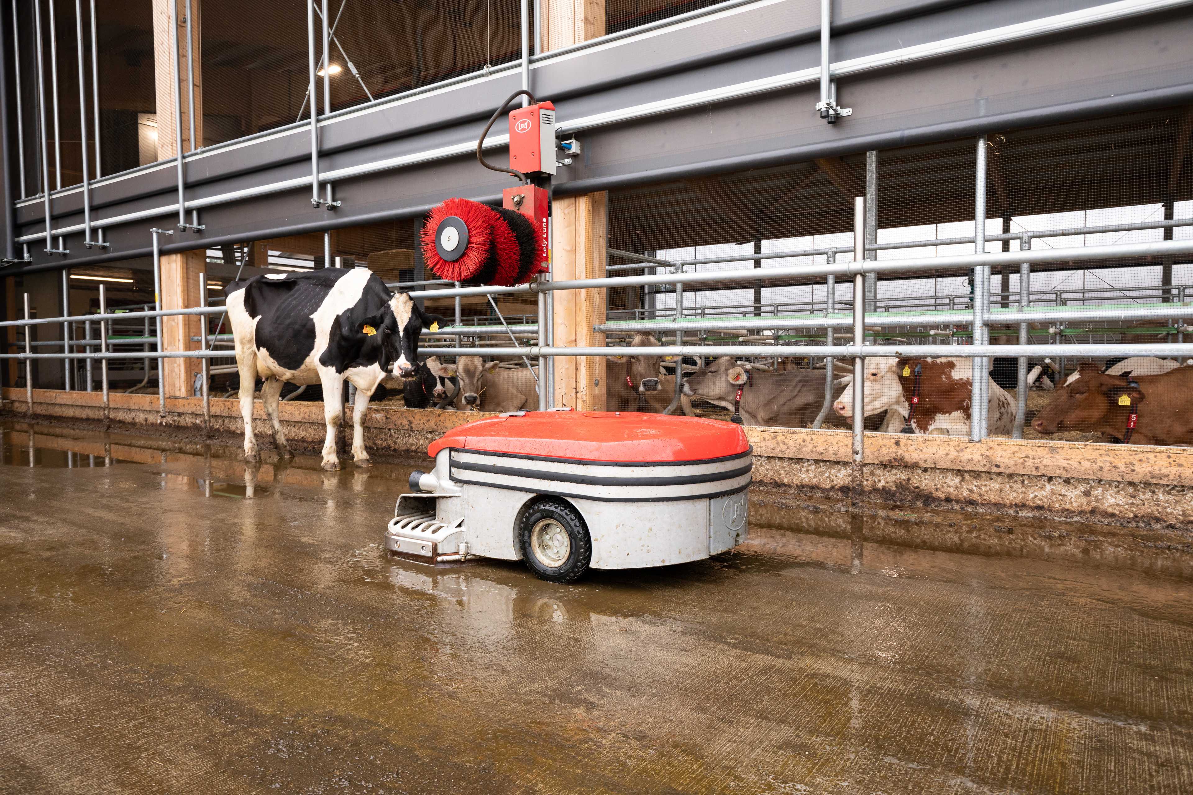 Lely Discovery Collector