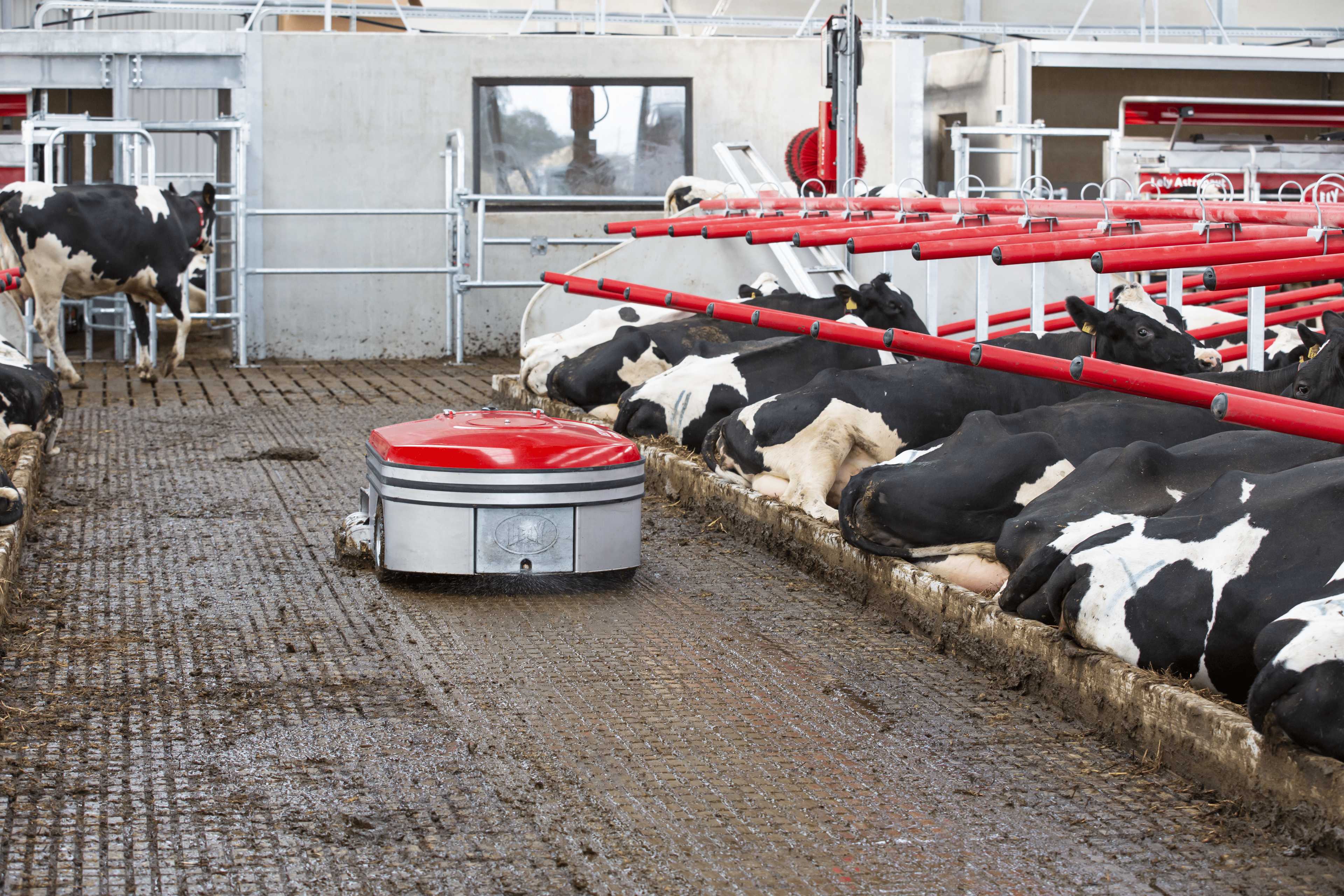 Lely Discovery Collector