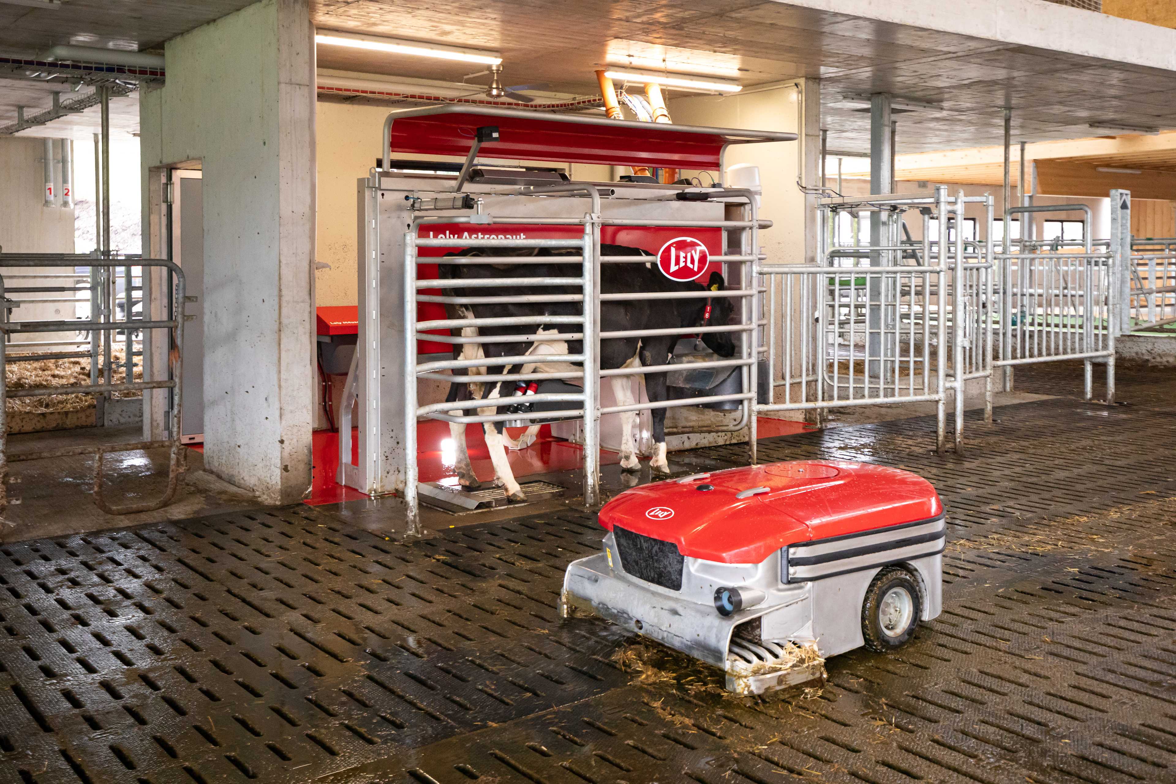 Lely Discovery Collector