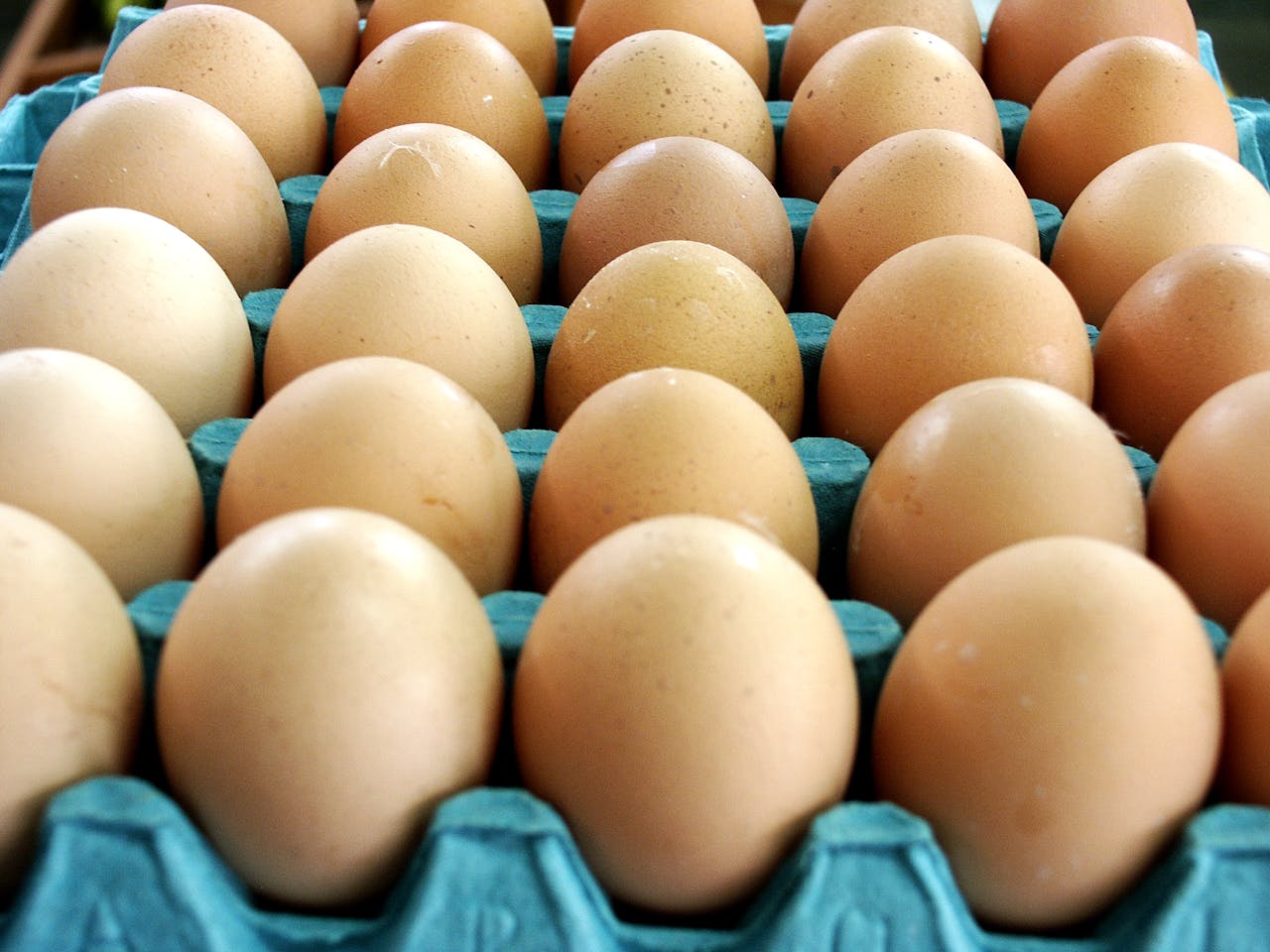 Epidemije ptičjeg gripa i prelazak na uzgoj bez kaveza menjaju tržište jaja: Cena jaja u Poljskoj porasla preko 70%