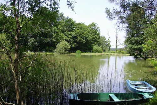 LES TILLEULS Casa de vacaciones en Arrondissement de Bergerac, Aquitaine, Francia para 8 personas...