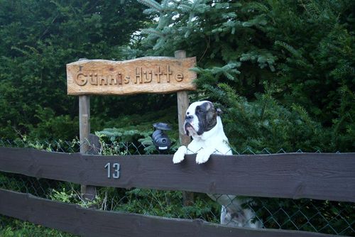 Günnis Hütte Maison de vacances à Kerschenbach, Eifel, Allemagne pour 4 personnes...