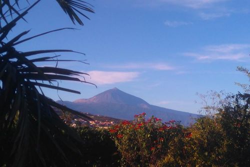 FRAY DIEGO 36 Holiday home in Tacoronte, Tenerife, Spain for 8 persons...