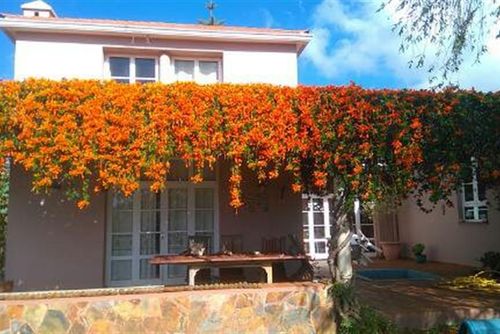 FRAY DIEGO 36 Vakantiehuis in Tacoronte, Tenerife, Spanje voor 8 personen...