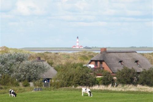 ReetdachStrandperle Holiday home in St. Peter-Ording, Nordsee, Germany for 8 persons...