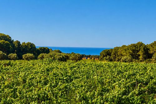 Mas Peirot 20 minutes walk to beaches  Genuine Farmhouse    Garden and Parc 60 Hectares Cunit Villa cómoda en Sitges, Costa Dorada, España, con una piscina privada para 18 personas. La casa se encuentra en una zona rural, boscosa y residencial junto a la playa....