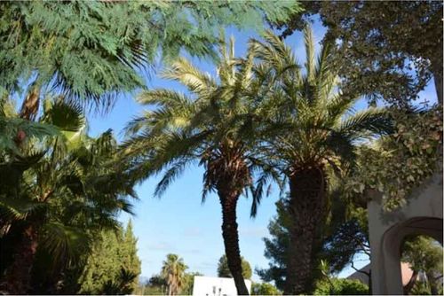 Only a 10-minute drive from Sitges. Villa Colibri. 10 minutes walk to the beach  Amazing Garden  Tradicional Villa Villa cómoda en Sitges, Costa Dorada, España, con piscina privada para 12 personas. La casa está situada en una zona boscosa y urbana cerca de la playa, a 1 km de la playa de Miramar de Vilanova i la Geltrú y a 4 km del pueblo más cercano....
