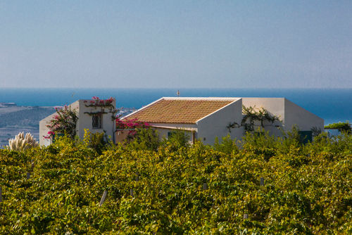 Villa Melograno Villa mit privatem Pool in Menfi, Sizilien, Italien für 6 Personen. Das Ferienhaus befindet sich in einer Küstengegend und ist 10 km von Menfi (5,8 km) entfernt....