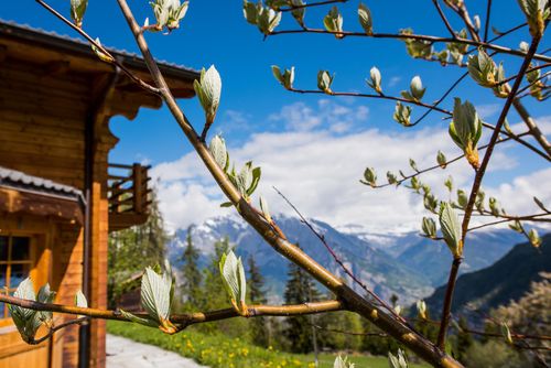 Chalet Colonia Holiday house in La Tzoumaz, 4 Vallees, Switzerland for 6 persons...